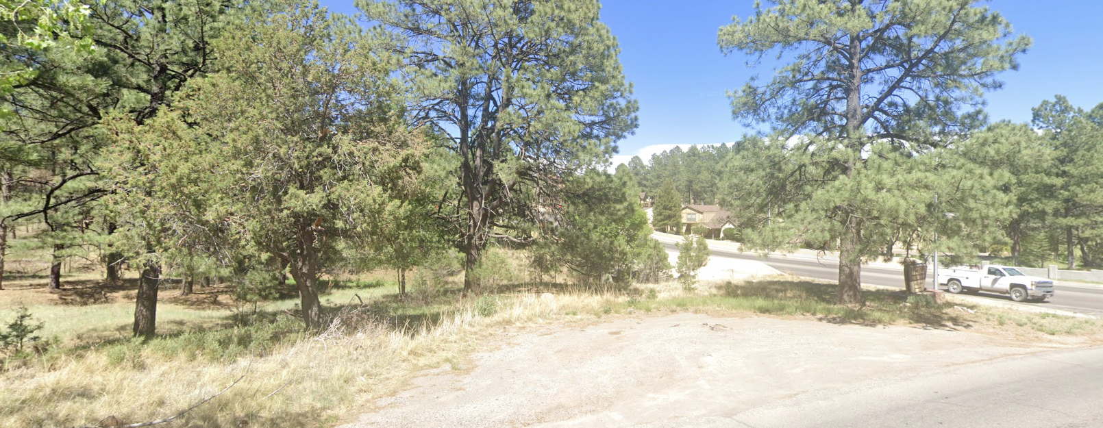 Native Light brown soils under trees